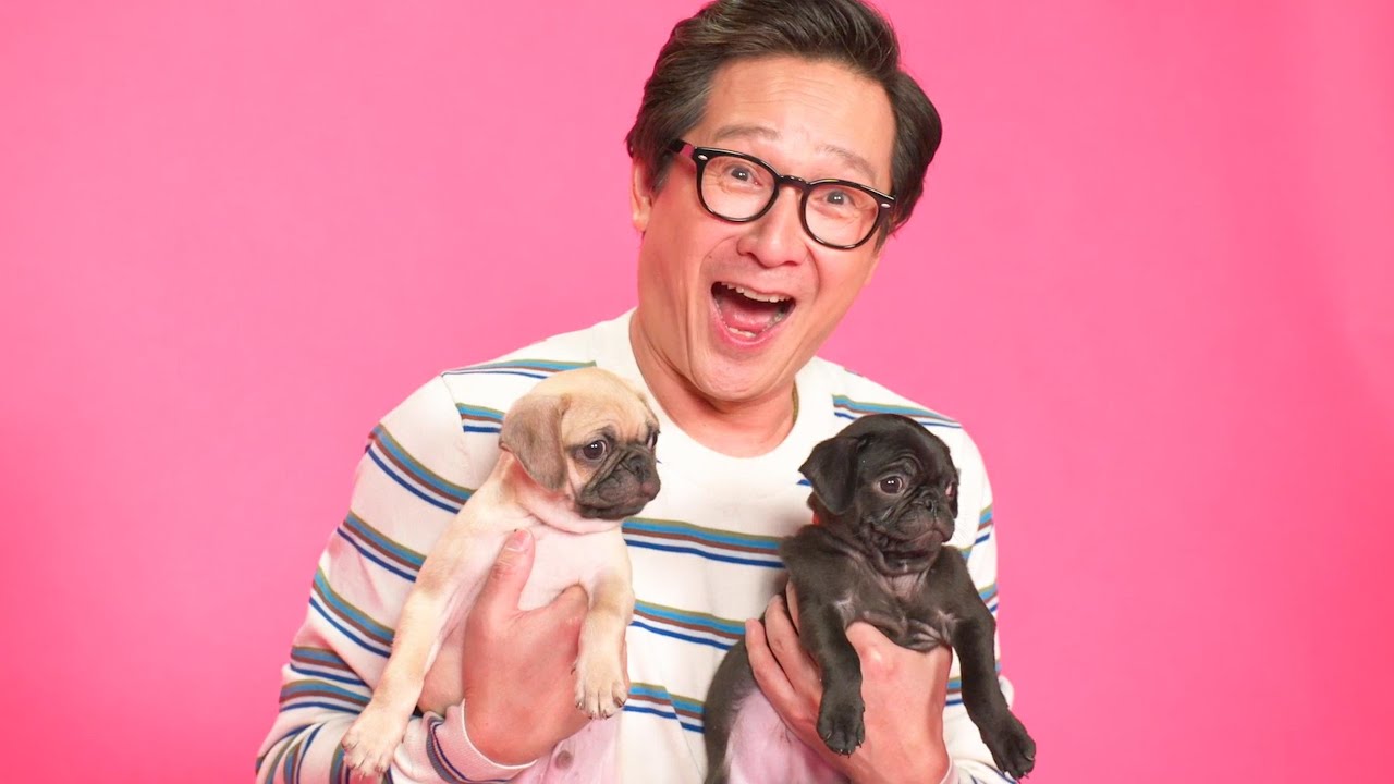 Ke Huy Quan: The Puppy Interview