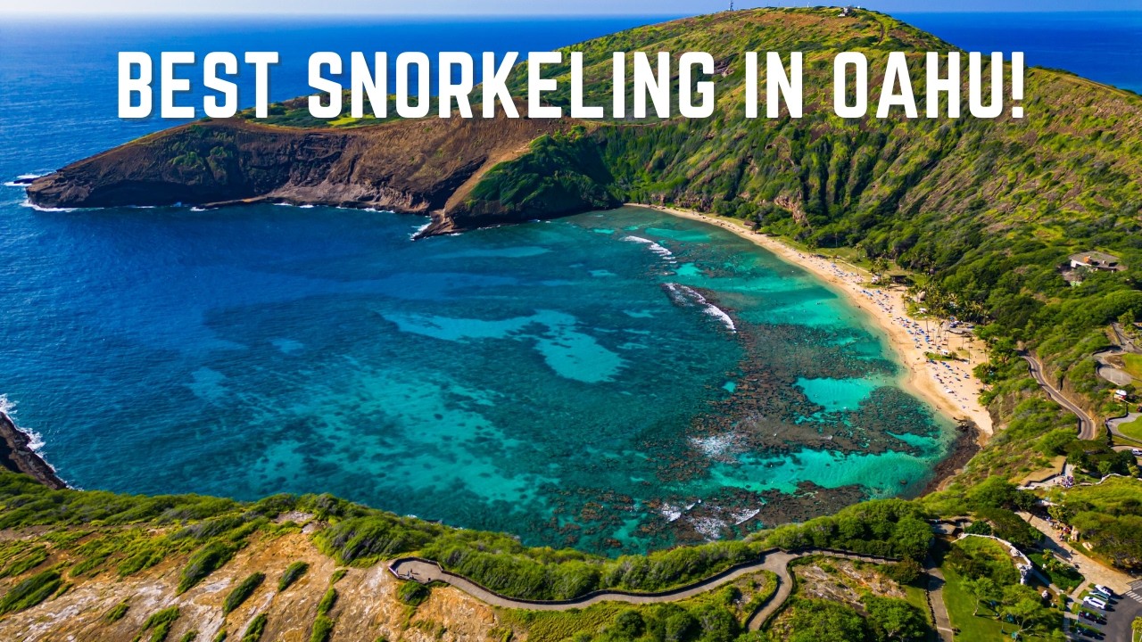 Everything You Need to Know About Hanauma Bay | Oahu, Hawaii