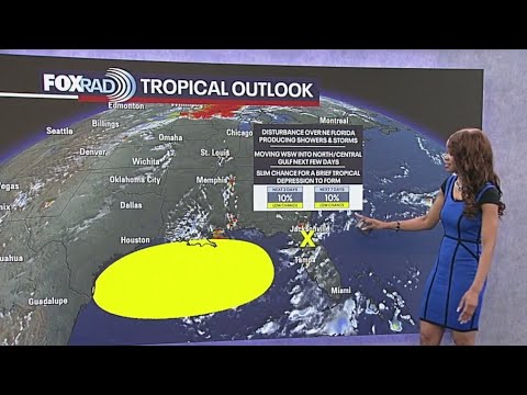 Tropical Weather Forecast - Watching for possible development in the Gulf this week