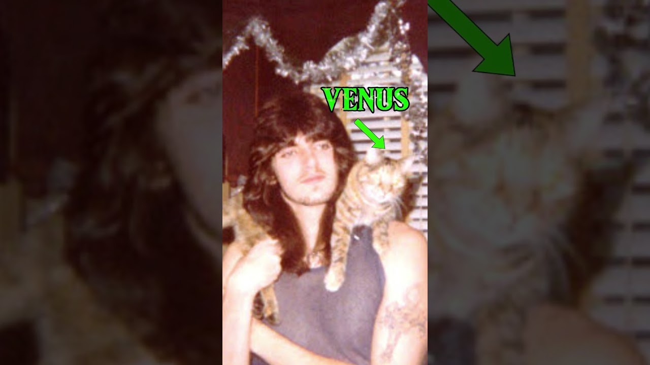 Peter Steele and his connection to cats - Type O Negative #typeonegative #petersteele #metal