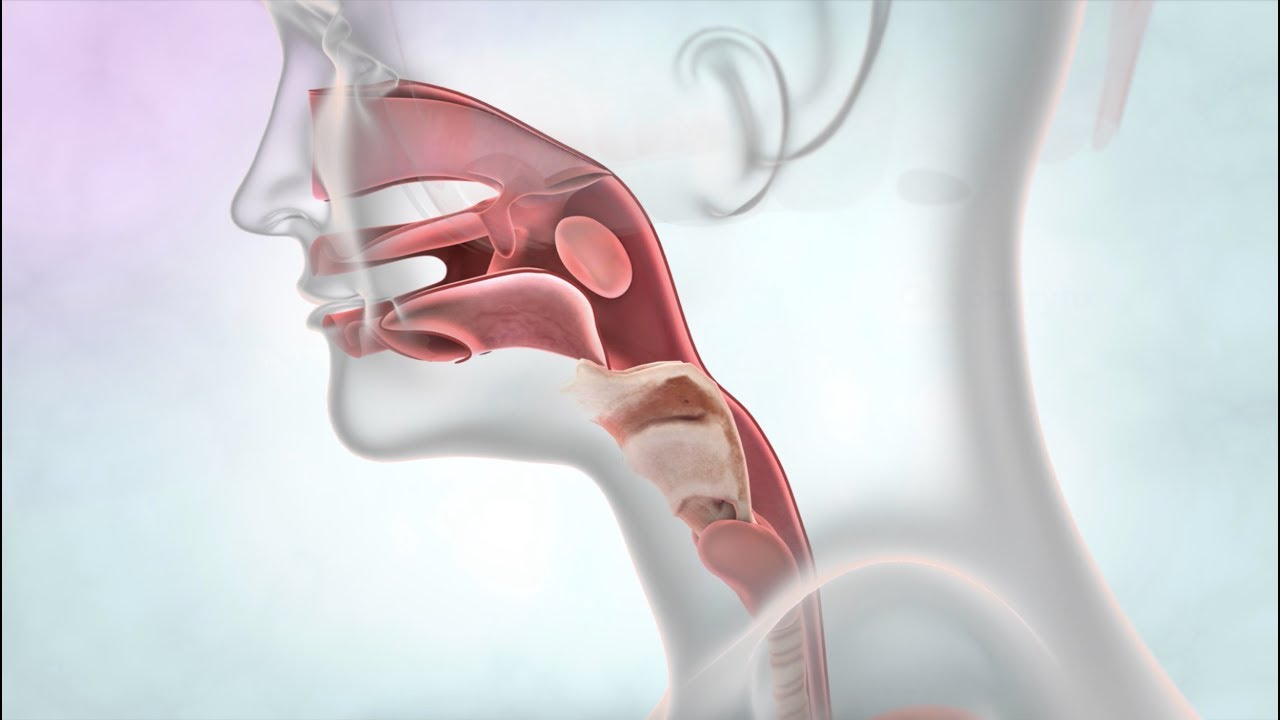What is Throat Cancer? | Cancer Research UK