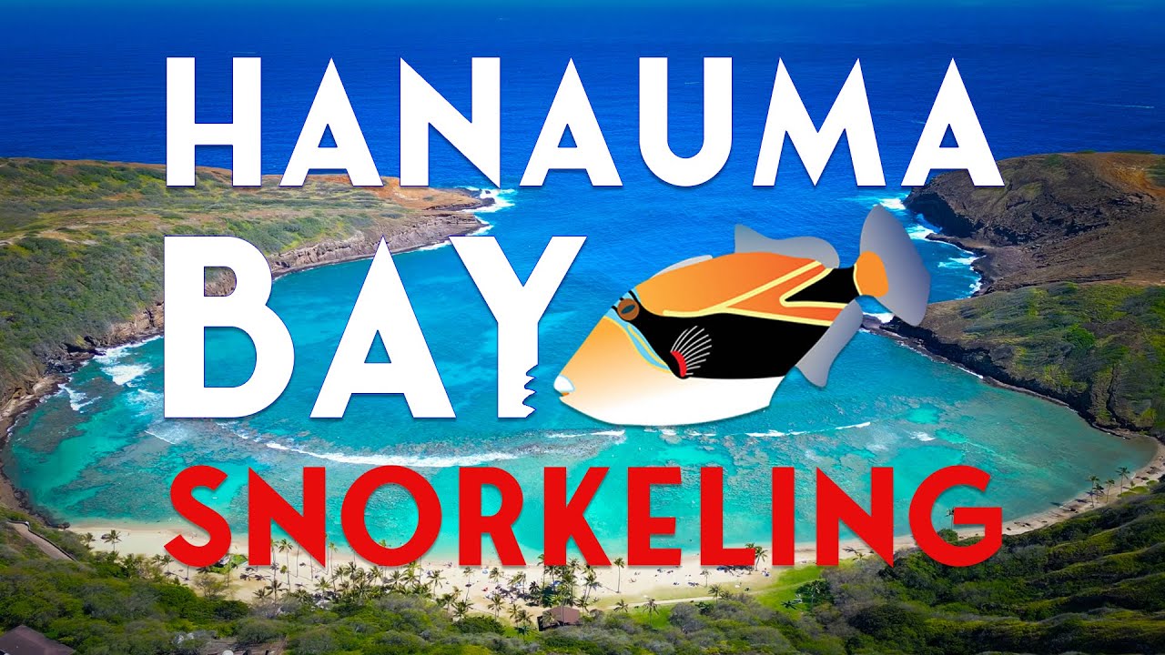 Hanauma Bay - Everything You Need to Know 2025 [4K DRONE]