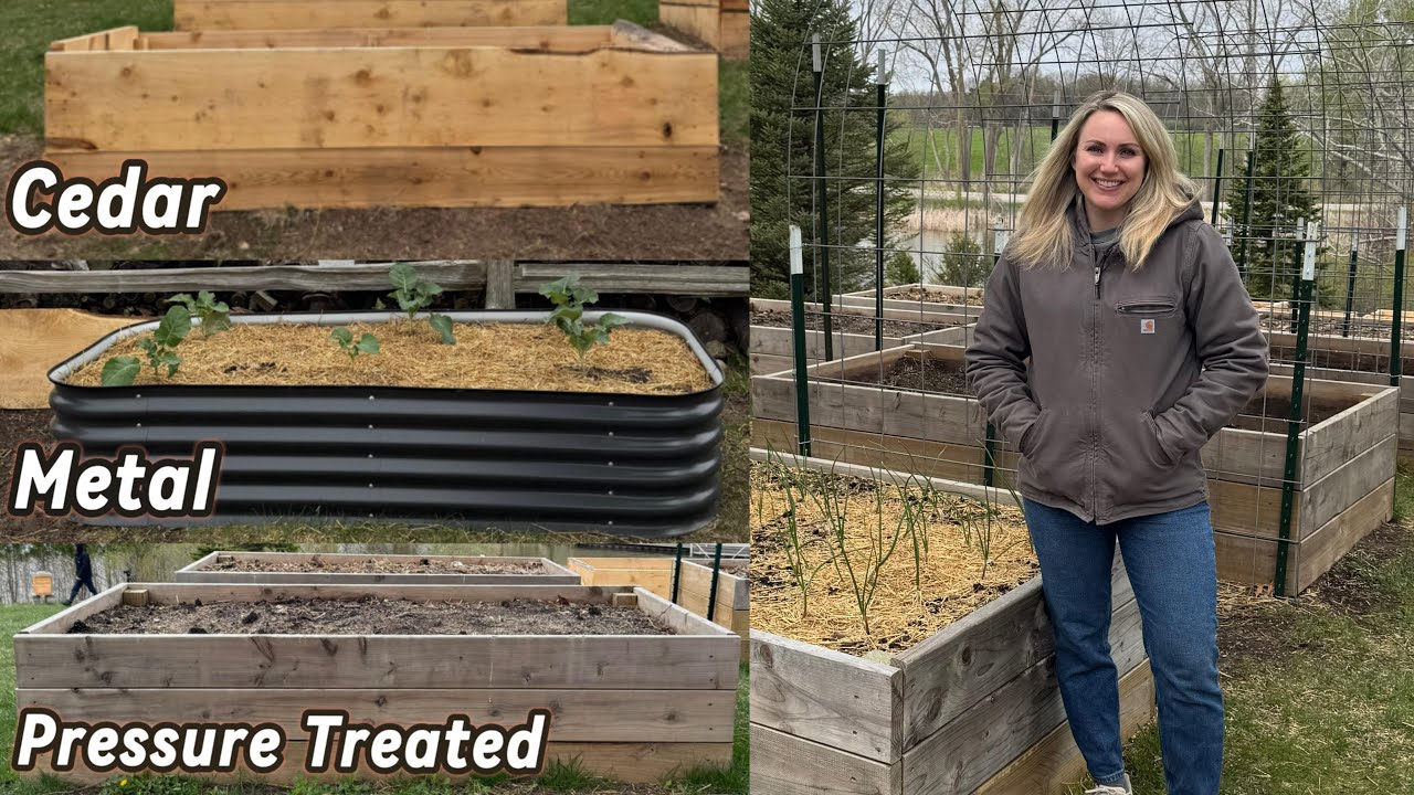 How to Choose the Best Raised Bed for Your Garden & Budget
