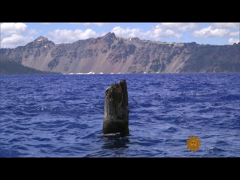 On the Trail: Crater Lake's Old Man