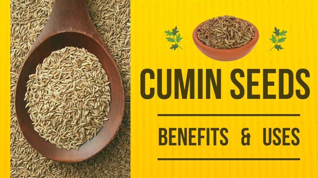 Benefits and Uses of Cumin Seeds that Will Surprise You!