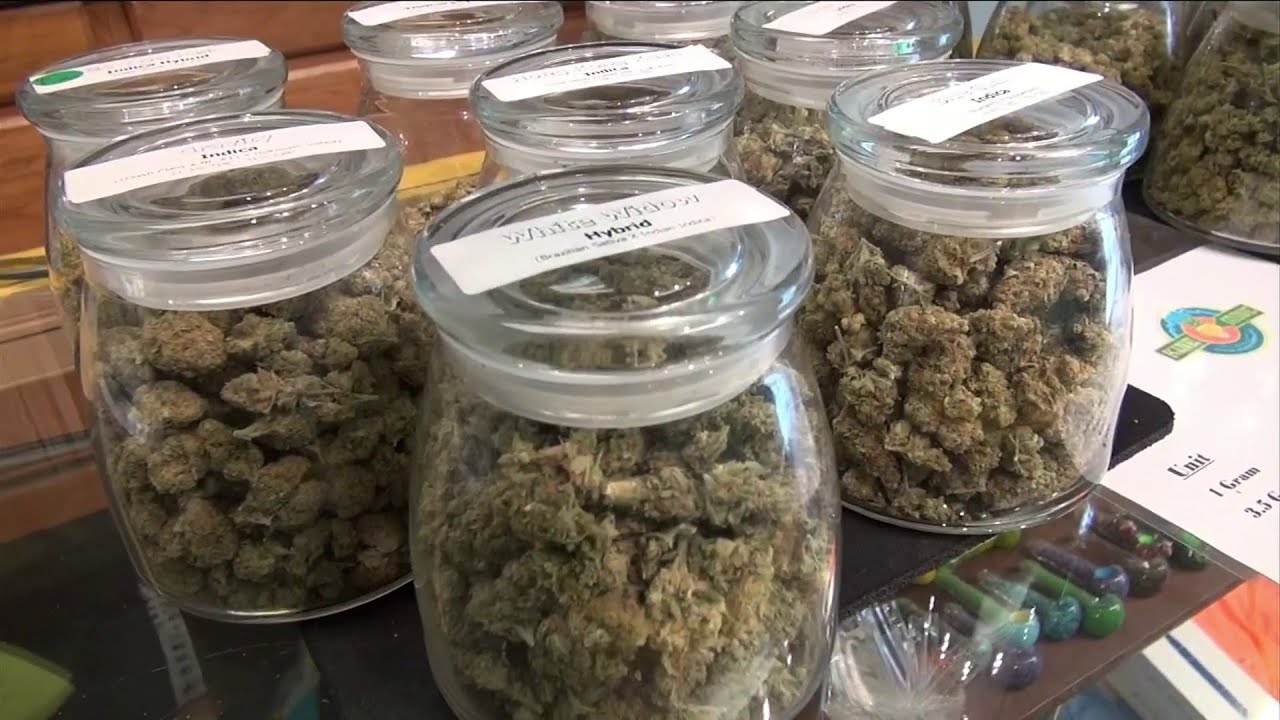 Could Florida be the next state to legalize marijuana in 2022?