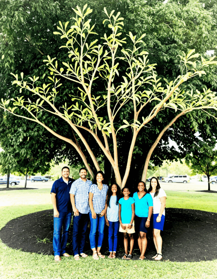 lending tree