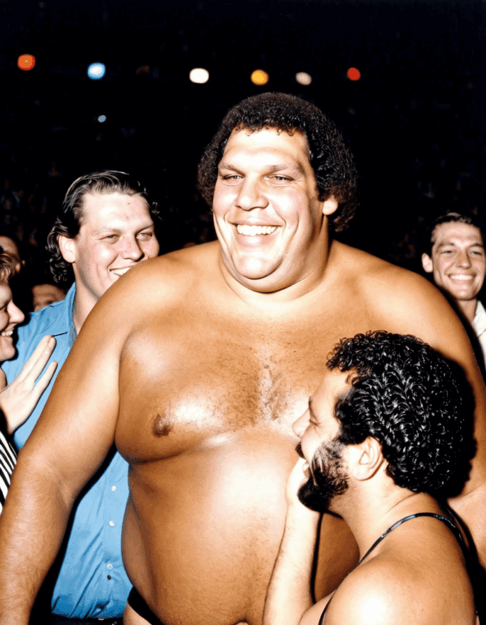 andre the giant