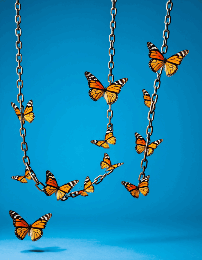the butterfly effect