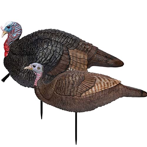 Primos Hunting Lil Gobstopper Hen and Jake Combo Decoy Light Weight, Collapsible Hunting Decoy