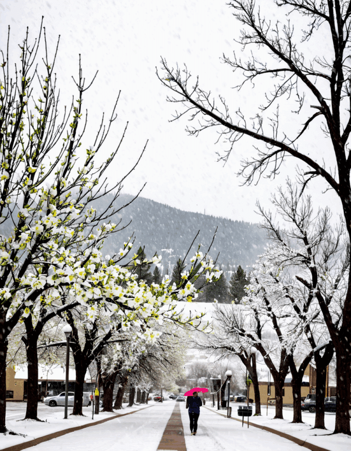 missoula weather