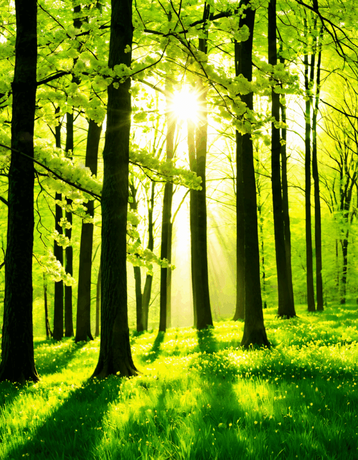 spring equinox 2025